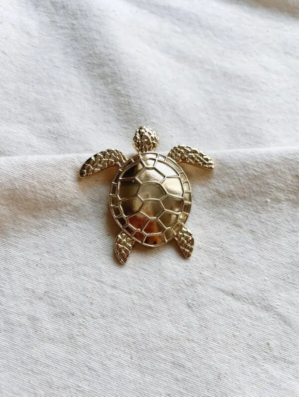 Broche tortuga