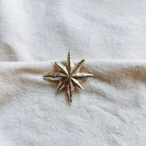 Broche estrella polar