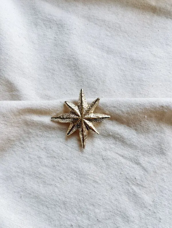 Broche estrella polar