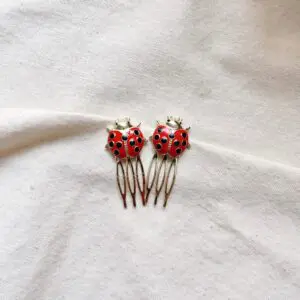 Peinecillo mariquita